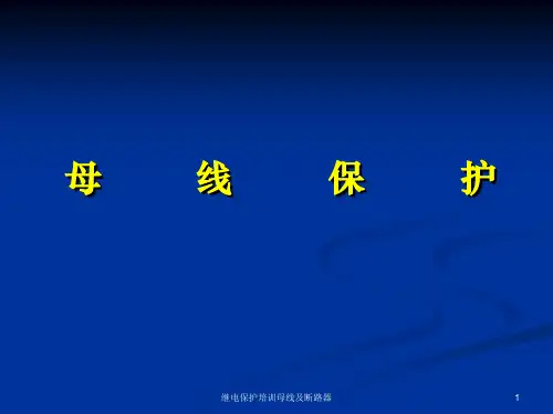 继电保护培训母线及断路器课件
