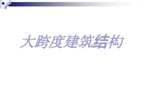 大跨度建筑结构