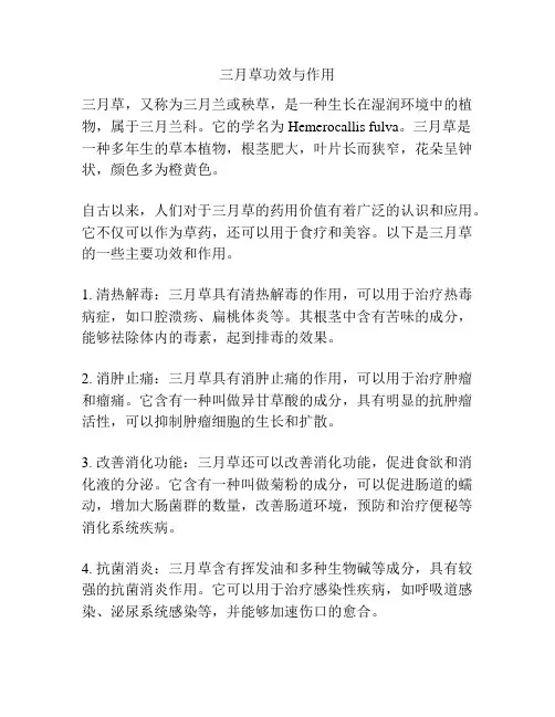 三月草功效与作用