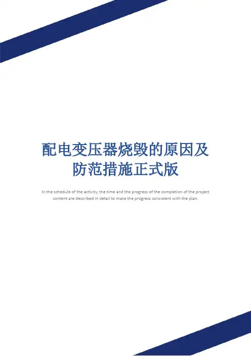 配电变压器烧毁的原因及防范措施正式版