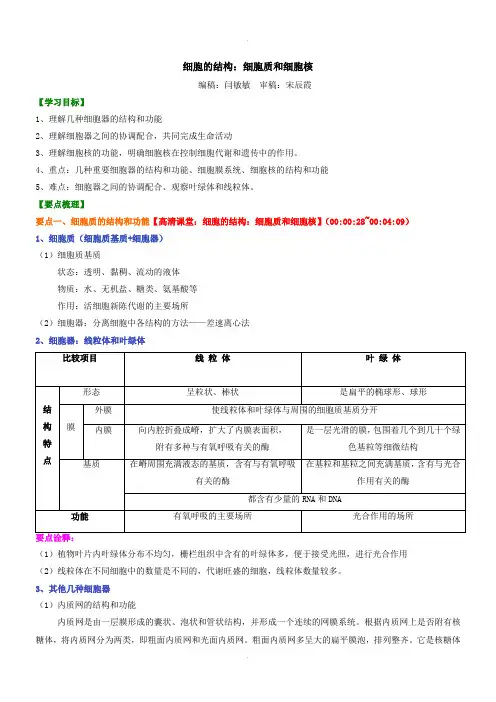 人教版高一生物必修一细胞的结构：细胞质和细胞核知识讲解