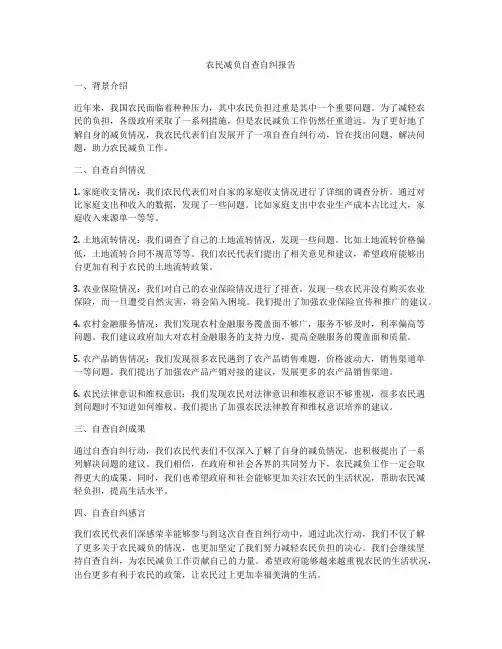 农民减负自查自纠报告