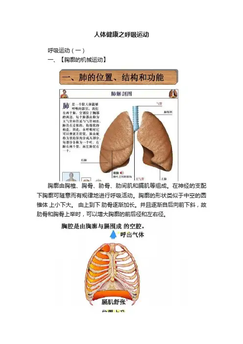 人体健康之呼吸运动