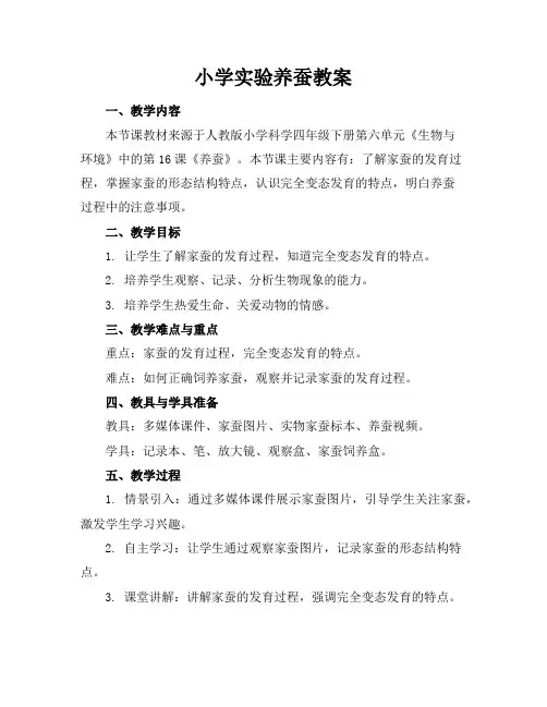小学实验养蚕教案
