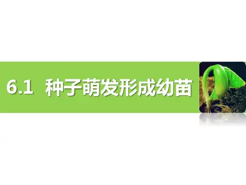 《种子萌发形成幼苗》PPT优质课件教学课件