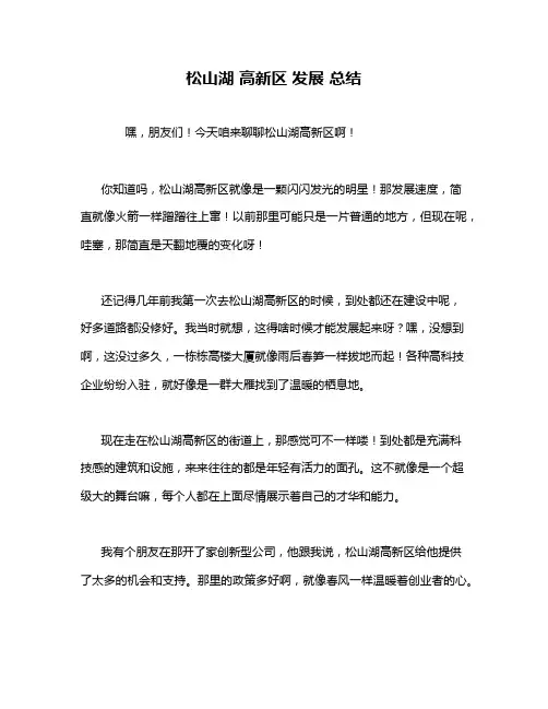 松山湖 高新区 发展 总结