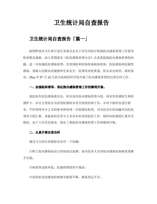 卫生统计局自查报告