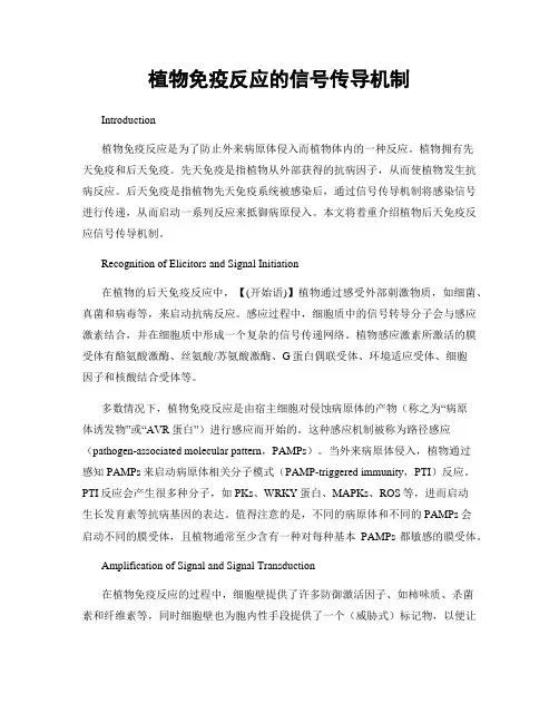 植物免疫反应的信号传导机制