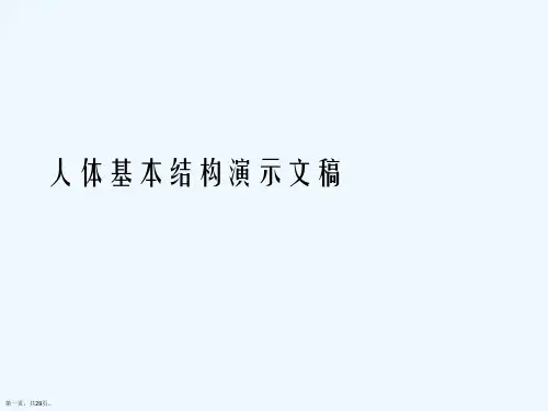 人体基本结构演示文稿