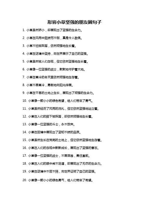 形容小草坚强的朋友圈句子