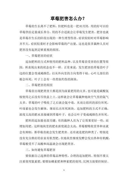 草莓肥害怎么办？