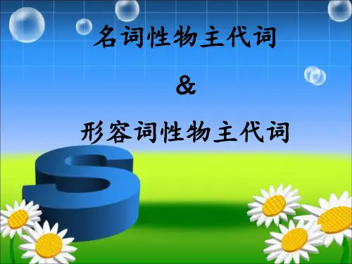 形容词性和名词性物主代词专项练习
