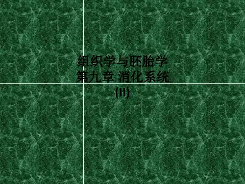 [医学]组织学与胚胎学 第九章 消化系统(II)