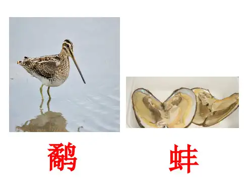 苏教版三年级语文下册《鹬蚌相争》课件