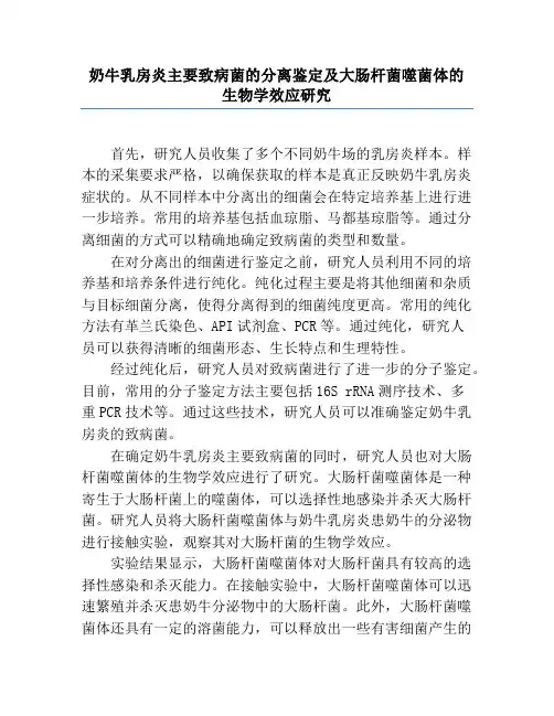 奶牛乳房炎主要致病菌的分离鉴定及大肠杆菌噬菌体的生物学效应研究