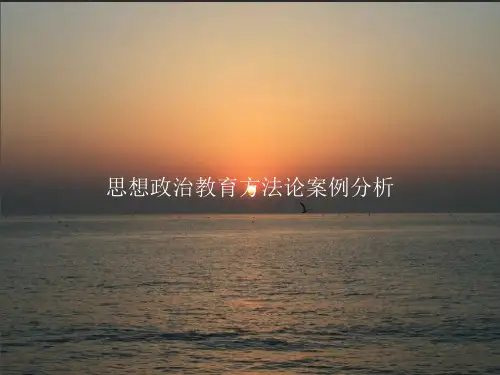 思想政治教育方法论案例分析