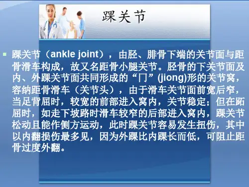 最新踝关节骨折病人的护理主题讲座课件