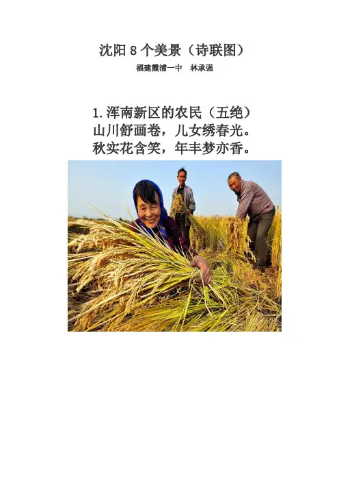 沈阳8个美景(诗联图)
