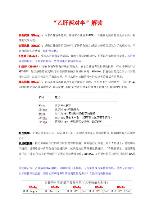乙肝两对半解读