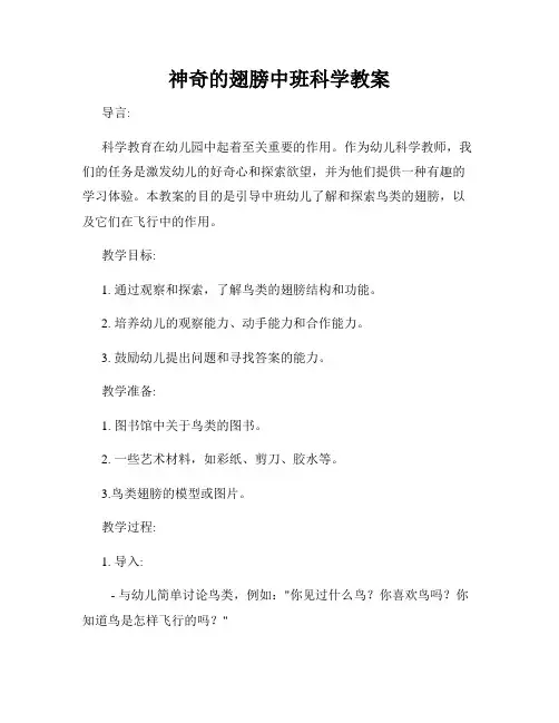 神奇的翅膀中班科学教案