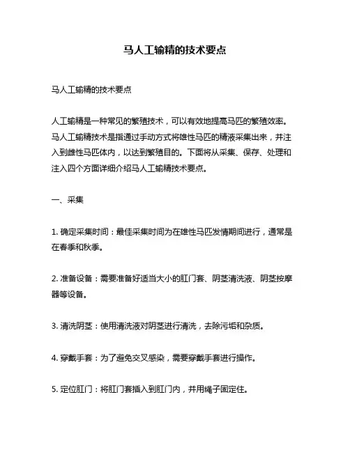 马人工输精的技术要点