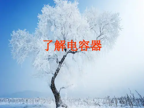 了解电容器PPT教学课件