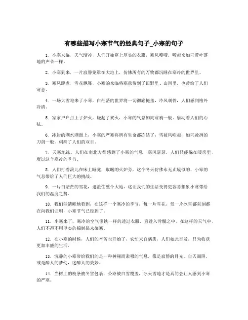 有哪些描写小寒节气的经典句子_小寒的句子