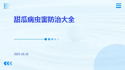 甜瓜病虫害防治大全
