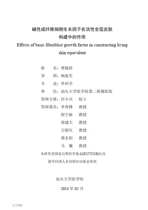 碱性成纤维细胞生长因子在活性全层皮肤构建中的运用