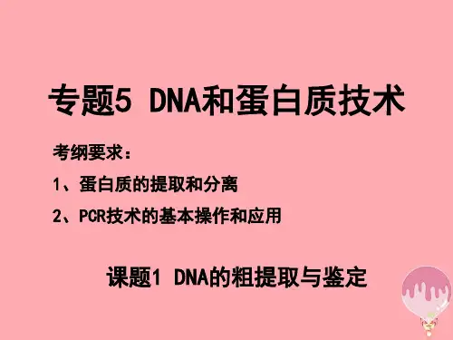 高中生物 专题五 DNA和蛋白质技术课件 新人教版选修1
