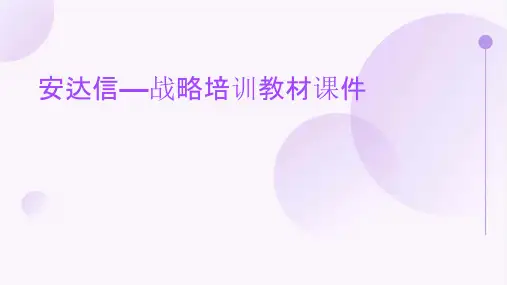 安达信—战略培训教材课件