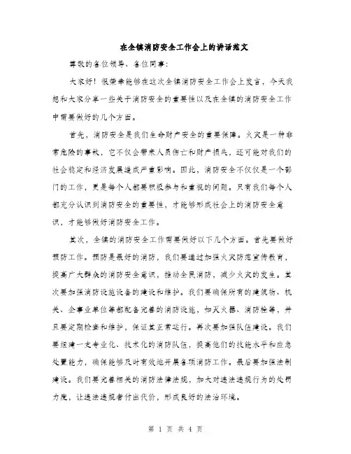 在全镇消防安全工作会上的讲话范文（二篇）