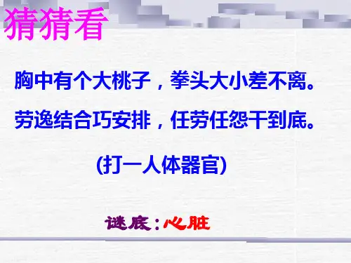 新人教版七年级下册生物第四单元第四章人体内物质的运输第三节输送血液的泵心脏