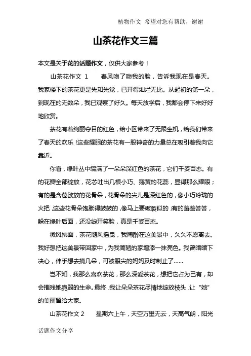 山茶花作文三篇