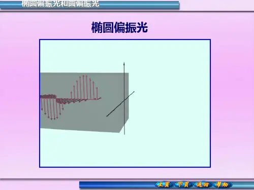 椭圆偏振光和圆偏振光偏振光的干涉