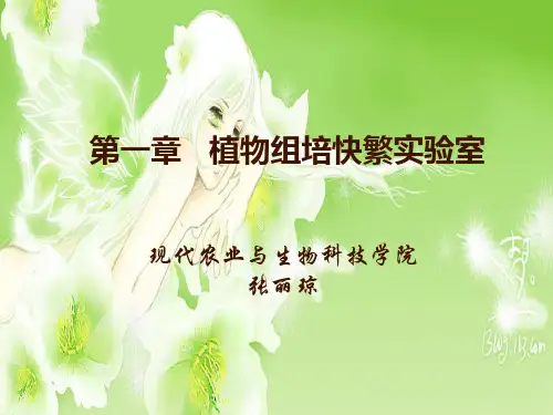01-第一章 植物组培快繁实验室(2学时)