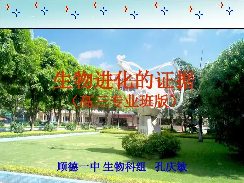 生物进化证据.ppt