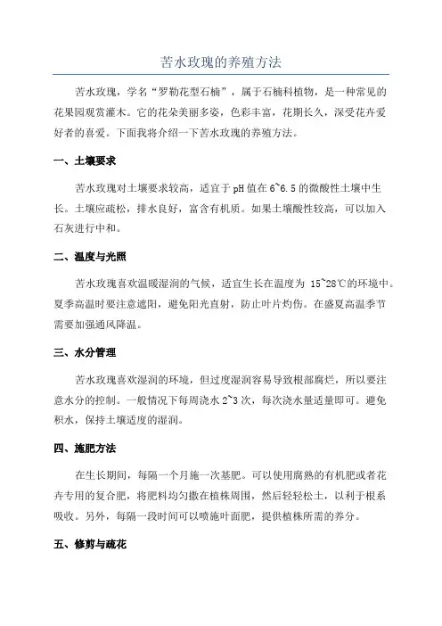 苦水玫瑰的养殖方法