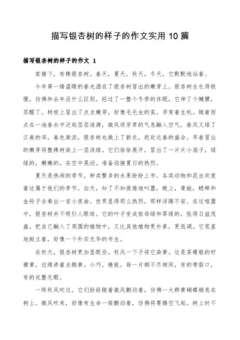 描写银杏树的样子的作文实用10篇