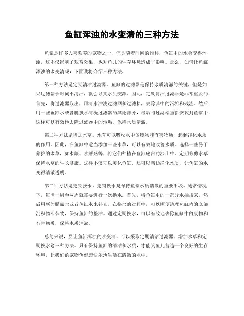 鱼缸浑浊的水变清的三种方法