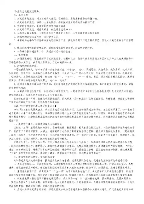 2017年村党支部年度工作计划要点.pdf