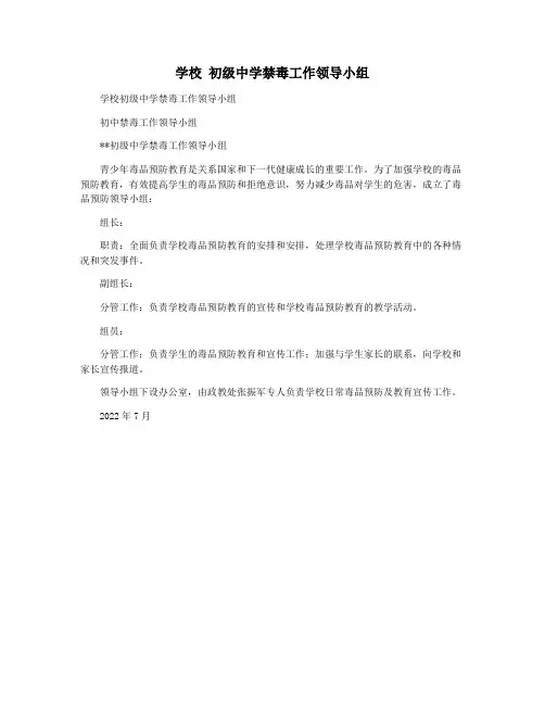 学校 初级中学禁毒工作领导小组