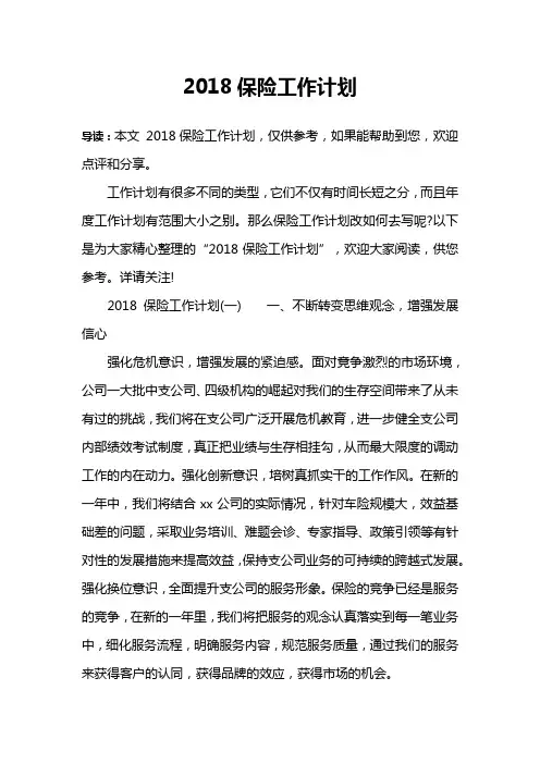 2018保险工作计划