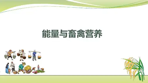 能量与畜禽营养课件(共17张PPT)《畜禽营养与饲料》(高等教育出版社)