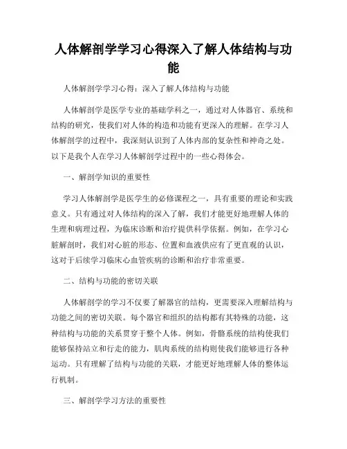 人体解剖学学习心得深入了解人体结构与功能