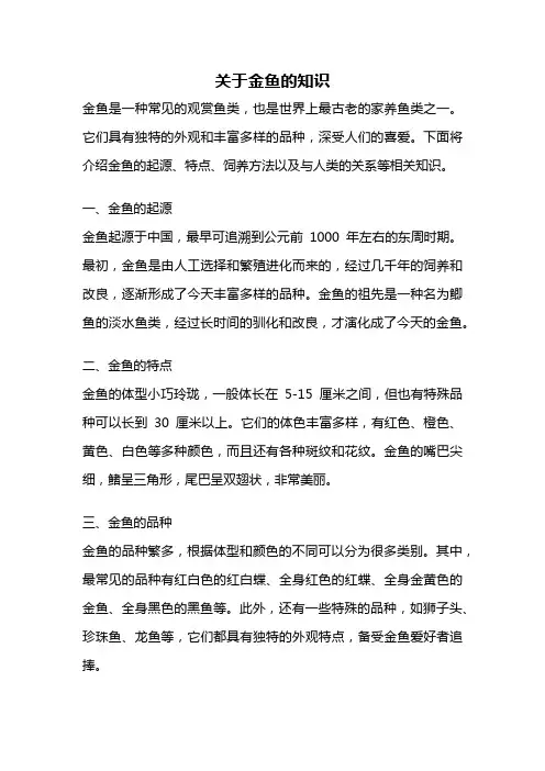 关于金鱼的知识