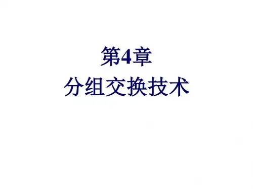 现代网络交换技术-PPT课件第4章分组交换技术