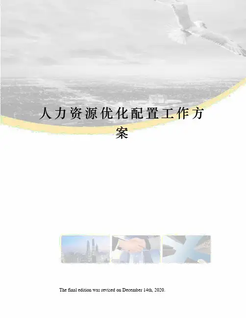 人力资源优化配置工作方案