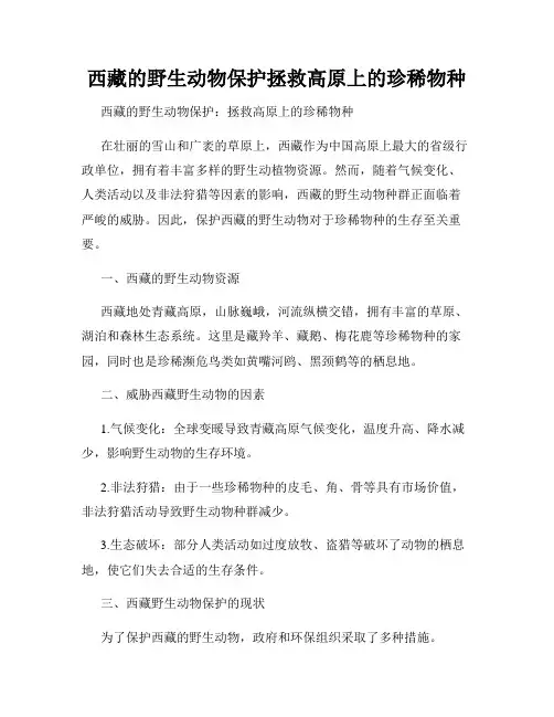 西藏的野生动物保护拯救高原上的珍稀物种