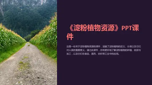 《淀粉植物资源》课件
